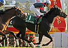 Filly Championship on the Line at Hanshin Filly Championship on the Line at Hanshin