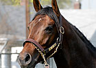 Colonel John Scratched From Big 'Cap