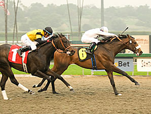 Colonel John, El Gato Malo Head SA Derby Colonel John, El Gato Malo Head SA Derby