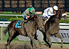 Col. John Noses 'Mambo' in Epic Travers 
