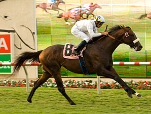 Col. John, Einstein Clash in Pacific Classic Col. John, Einstein Clash in Pacific Classic