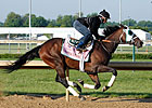 Oaks Possibility Colonial Empress Works