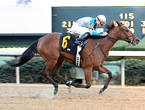 Comedero Seeks Another Win in Chick Lang S.