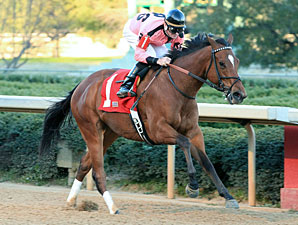 Evenly-Matched Commonwealth Draws Seven Evenly-Matched Commonwealth Draws Seven