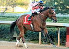 Evenly-Matched Commonwealth Draws Seven