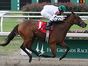 Comedero Favored in Remington's Springboard Comedero Favored in Remington's Springboard