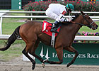 Comedero Favored in Remington's Springboard Comedero Favored in Remington's Springboard