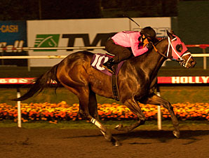 Comma to the Top Voted Horse of the Meet Comma to the Top Voted Horse of the Meet