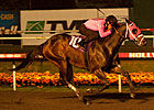 Comma to the Top Voted Horse of the Meet Comma to the Top Voted Horse of the Meet