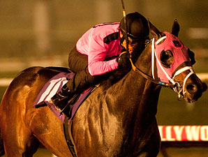 CashCall, Starlet Nominations Are Up for 2011 CashCall, Starlet Nominations Are Up for 2011
