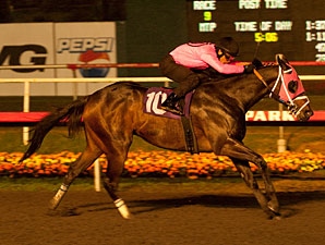 Jaycito, Comma to the Top Sharp in Workouts Jaycito, Comma to the Top Sharp in Workouts