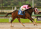 Comma to the Top Makes Jump in Palos Verdes
