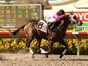 13 Entered as Santa Anita Opens With Eddie D. 13 Entered as Santa Anita Opens With Eddie D.