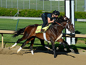 Commanding Curve, 21st on Points List, Works Commanding Curve, 21st on Points List, Works