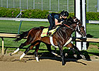 Commanding Curve, 21st on Points List, Works Commanding Curve, 21st on Points List, Works