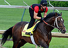 Commanding Curve Breezes at Churchill Downs Commanding Curve Breezes at Churchill Downs