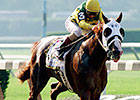 Classic Winner Commendable Dies in Korea Classic Winner Commendable Dies in Korea