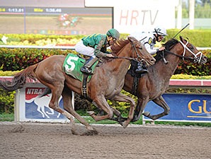 Commissioner Likely to Run in Arkansas Derby Commissioner Likely to Run in Arkansas Derby