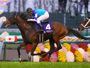 Company Captures Japan's Mile Championship Company Captures Japan's Mile Championship