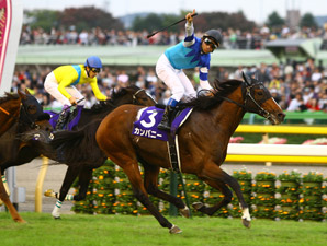 Company Shocks Vodka in Tenno Sho (Autumn) Company Shocks Vodka in Tenno Sho (Autumn)