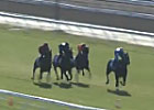 Melbourne Cup Carnival - Con Karakatsanis
