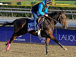 Concave a Juv. Filly Consideration at 15-1 Concave a Juv. Filly Consideration at 15-1