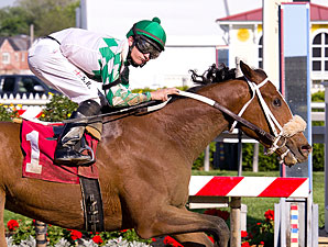 Concealed Identity in Tesio; Preakness Next? Concealed Identity in Tesio; Preakness Next?