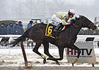 Condo Commando Dashes to Busher Victory Condo Commando Dashes to Busher Victory