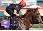 Two Previous Winners Return in Turf