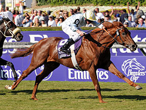 Europeans Look to Build on 2008 Success Europeans Look to Build on 2008 Success
