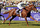 Euros Have Big Edge in Breeders' Cup Turf Euros Have Big Edge in Breeders' Cup Turf