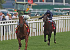 Conduit Channels Victory in St. Leger