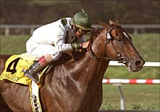 Hollywood Park race Report: Ready, Aim, Fire Hollywood Park race Report: Ready, Aim, Fire