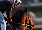 Connie and Michael Scratched From CCA Oaks