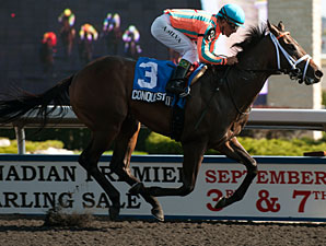 Maiden Conquest Titan Overpowers Swynford Maiden Conquest Titan Overpowers Swynford