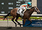 Hear No Evil Filly Takes Victoria in Debut Hear No Evil Filly Takes Victoria in Debut