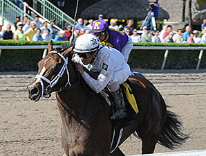 Constitution to Make Stakes Debut in FL Derby Constitution to Make Stakes Debut in FL Derby