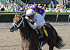 Constitution to Make Stakes Debut in FL Derby Constitution to Make Stakes Debut in FL Derby