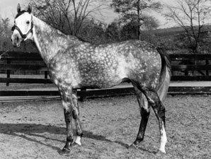 New York Breeder/Owner Schoenborn Dies New York Breeder/Owner Schoenborn Dies
