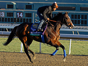 Contested Returns to Track Nov. 1 Contested Returns to Track Nov. 1