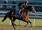 Contested Brings $2.3 Million at F-T Nov Contested Brings $2.3 Million at F-T Nov