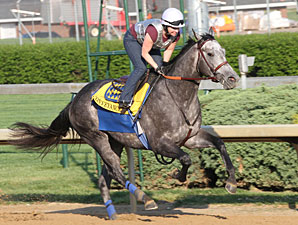 Lookin At Lucky, Conveyance Work at Churchill Lookin At Lucky, Conveyance Work at Churchill