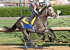 Lookin At Lucky, Conveyance Work at Churchill