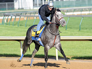 Conveyance Will Not Run in the Preakness Conveyance Will Not Run in the Preakness