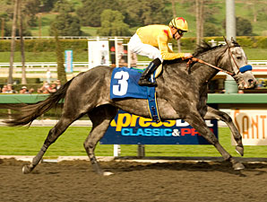 Conveyance Showcases Talent in San Rafael Win Conveyance Showcases Talent in San Rafael Win