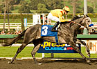 Conveyance Showcases Talent in San Rafael Win Conveyance Showcases Talent in San Rafael Win
