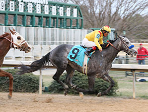 Conveyance to Prep for Derby in U.S. Conveyance to Prep for Derby in U.S.
