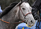 Conveyance Cruises Five Furlongs in :59 4/5