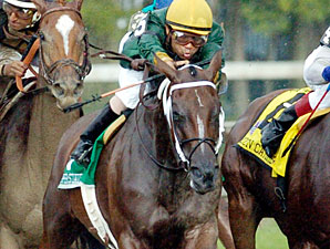 Copper State Hopes to Break Through