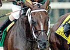 Copper State Hopes to Break Through